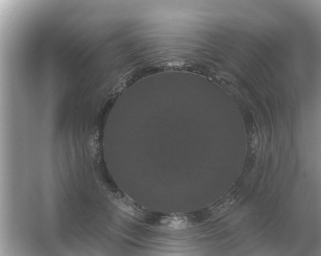 X0000066970559200604072033