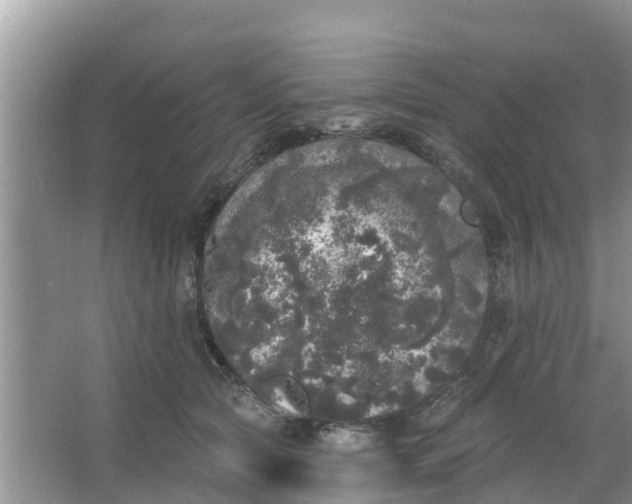 X0000066970561200604072033