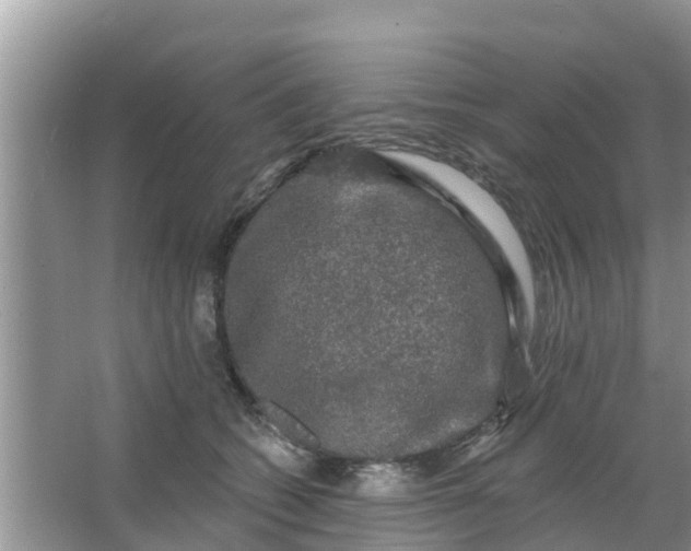 X0000066970562200604072033