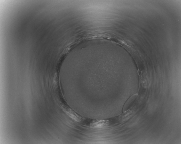 X0000066970563200604072033