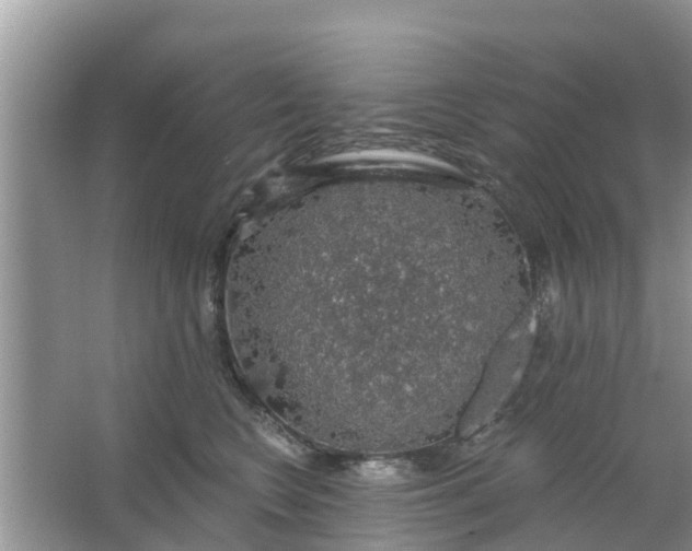 X0000066970566200604072033