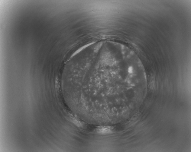 X0000066970569200604072033