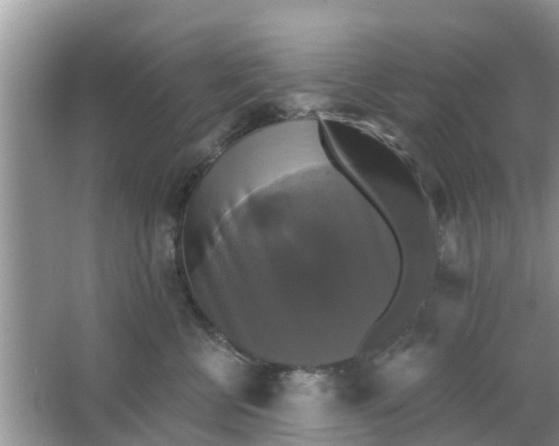 X0000066970570200604072033