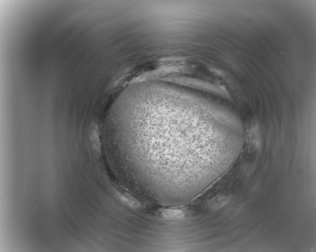 X0000066970572200604072033