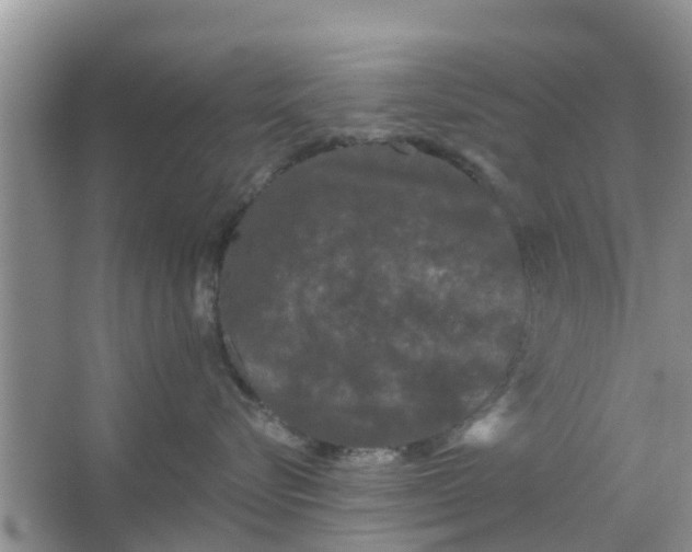 X0000066970576200604072033