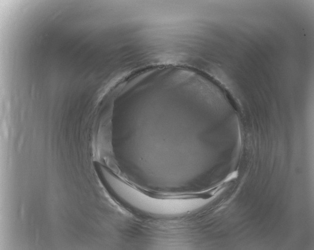 X0000066970577200604072033