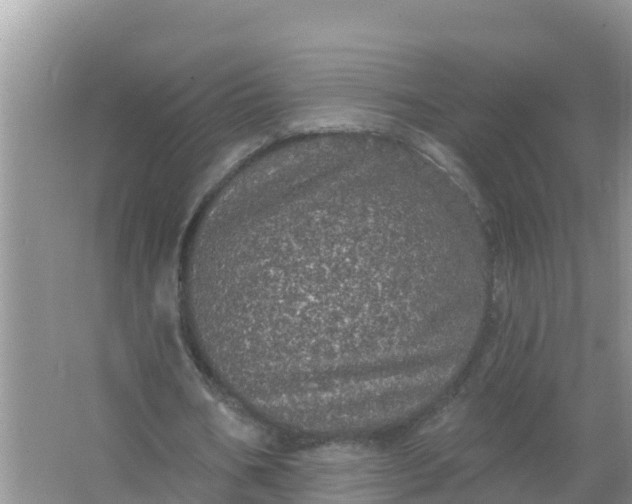 X0000066970578200604072033