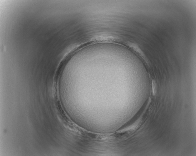 X0000066970579200604072033