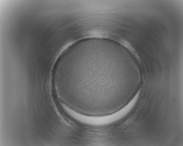 X0000066970580200604072033