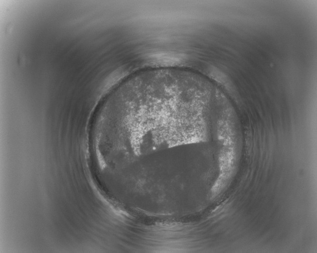 X0000066970582200604072032