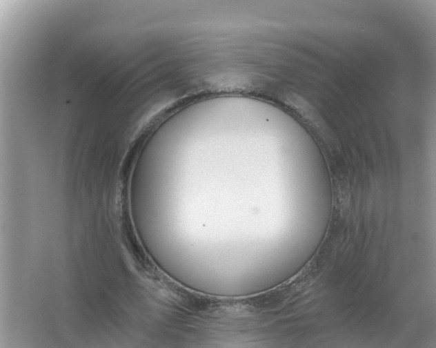 X0000066970583200604072032