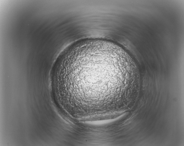 X0000066970584200604072032