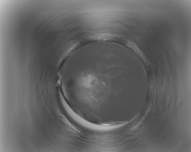 X0000066970585200604072032