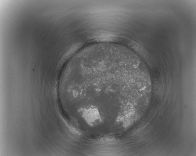 X0000066970586200604072032