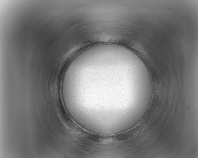 X0000066970587200604072032