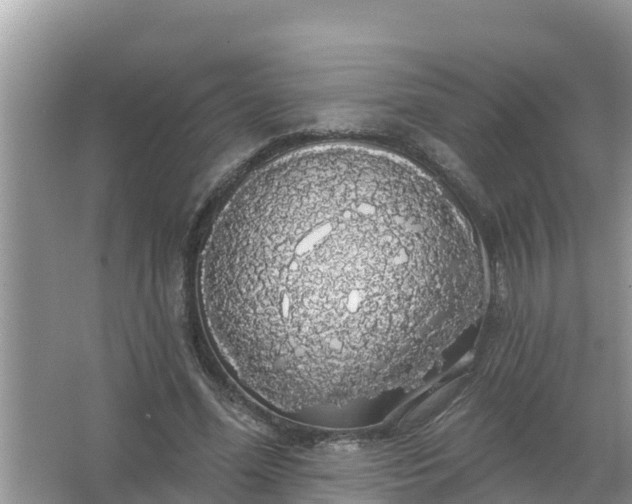 X0000066970588200604072032