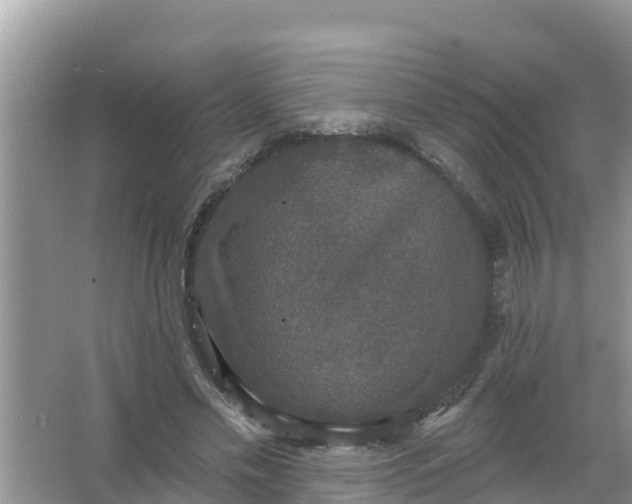 X0000066970589200604072032