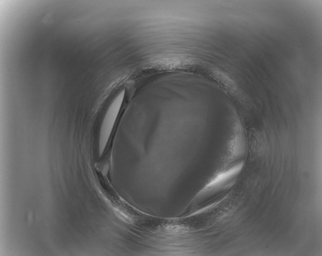 X0000066970590200604072032