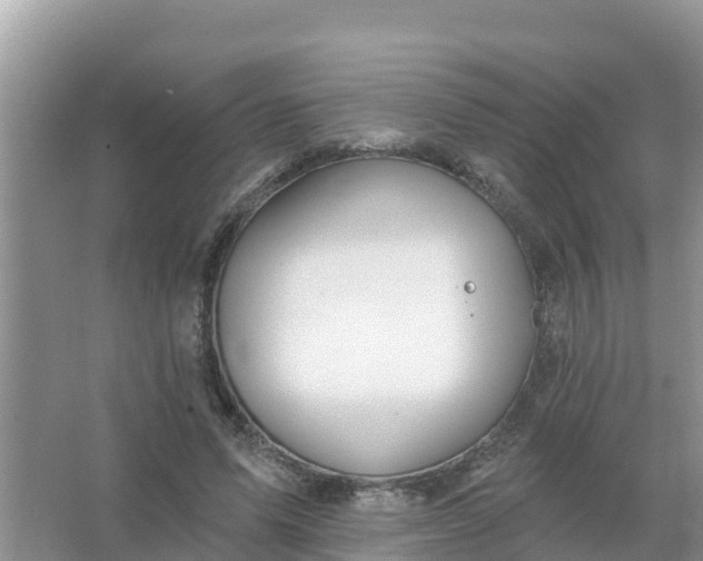 X0000066970591200604072032