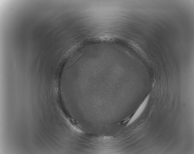 X0000066970593200604072032