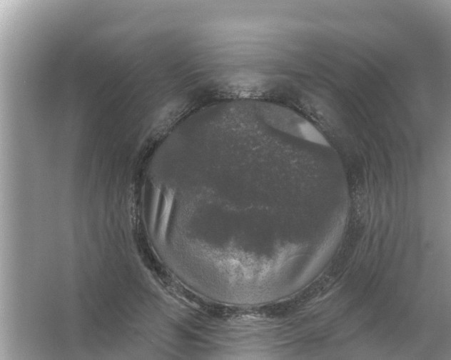 X0000066970594200604072032