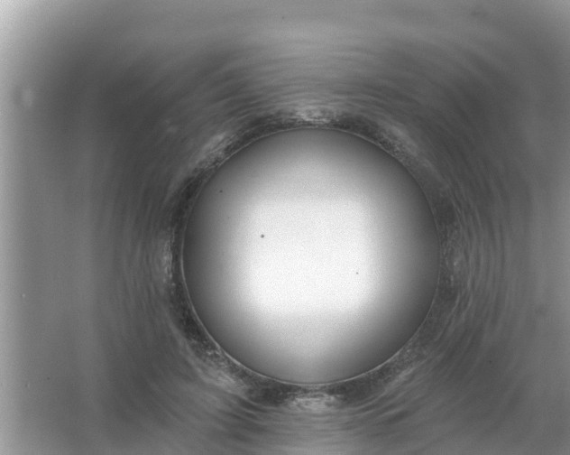 X0000066970595200604072032