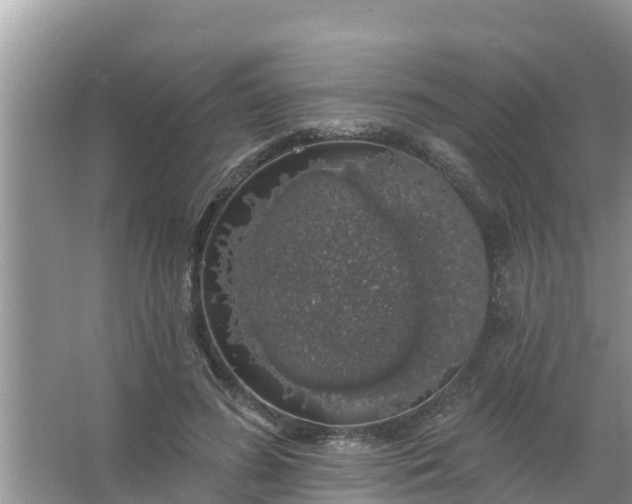 X0000066970596200604072032