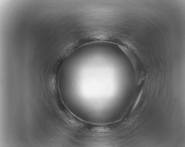 X0000066970597200604072032