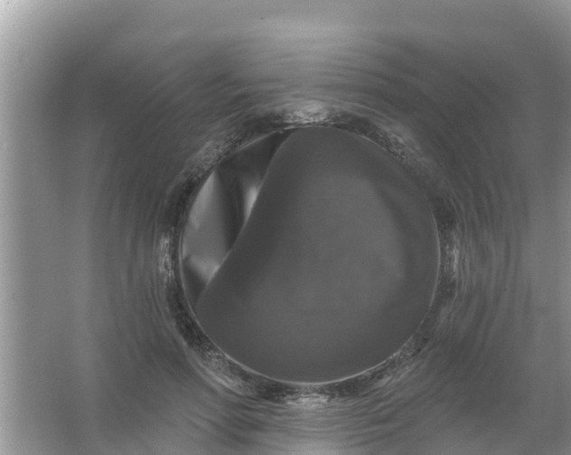 X0000066970598200604072032