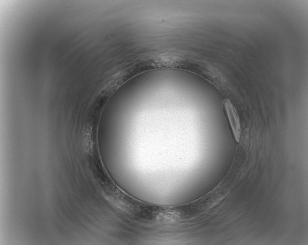 X0000066970599200604072032