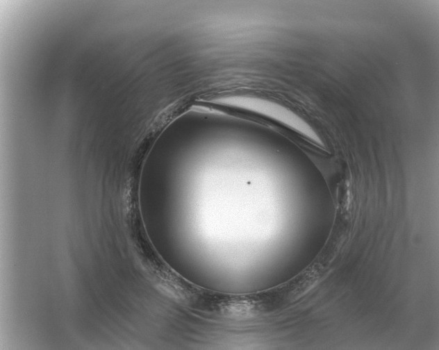 X0000066970600200604072032