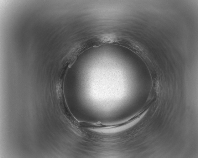 X0000066970601200604072032