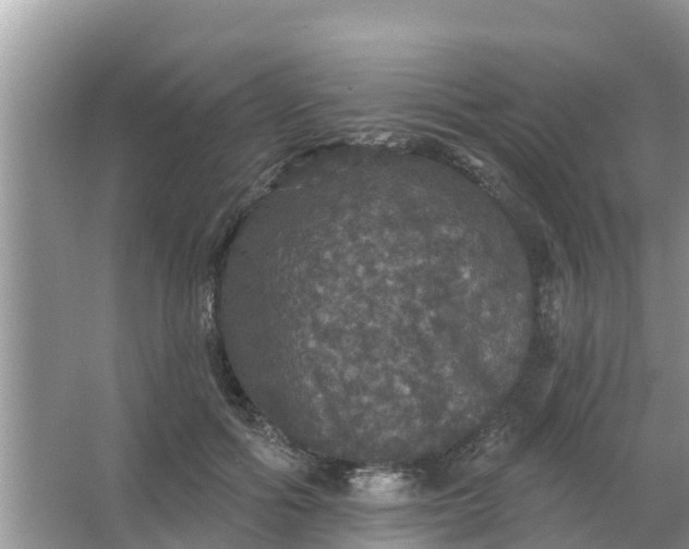 X0000066970602200604072032