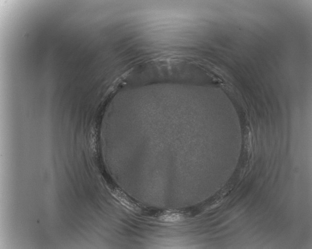 X0000066970604200604072032