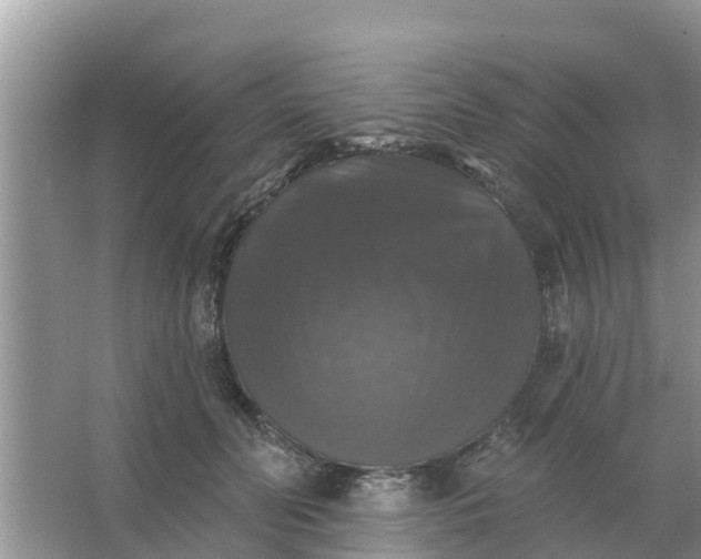 X0000066970606200604072032