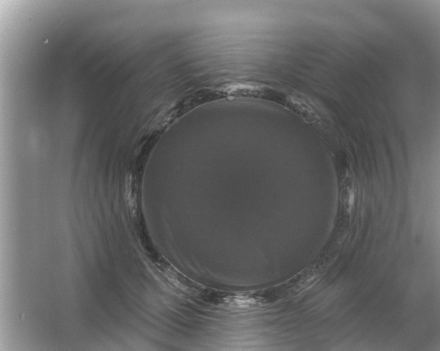 X0000066970607200604072032