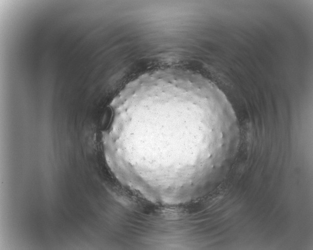 X0000066970615200604072032