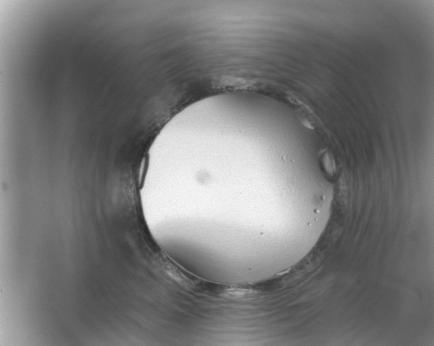 X0000066970617200604072032