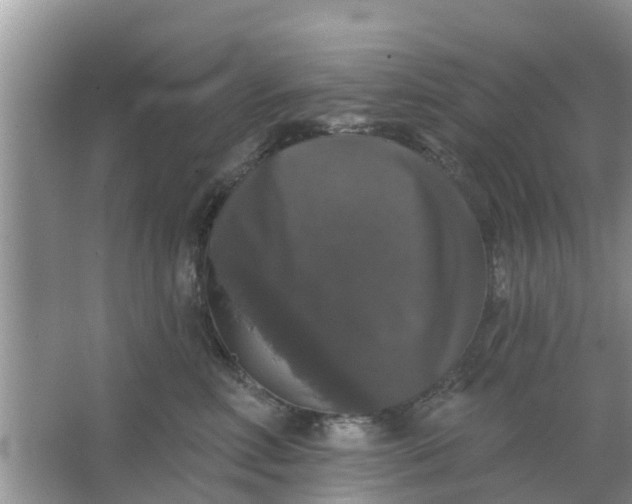 X0000066970618200604072032