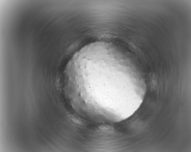 X0000066970619200604072032