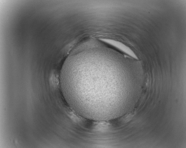 X0000066970621200604072032