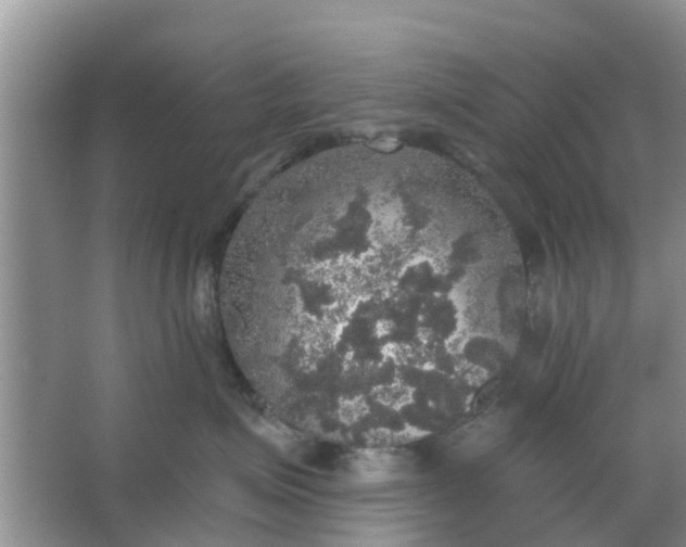 X0000066970623200604072032