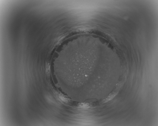 X0000066970624200604072032