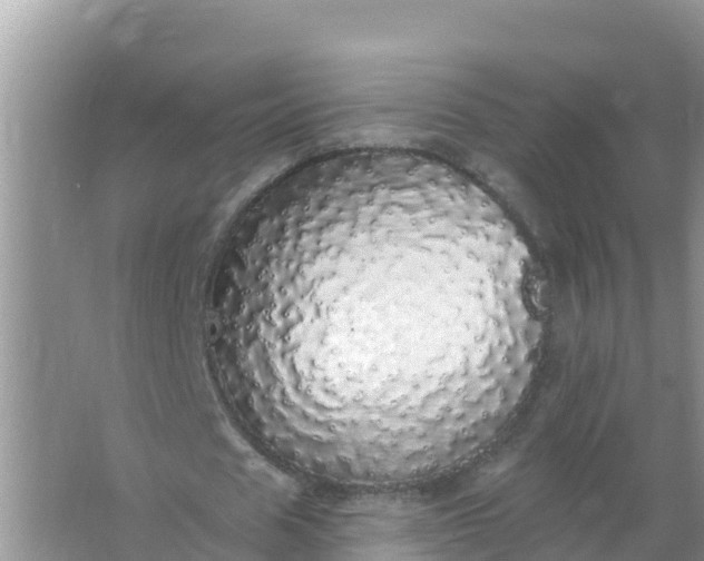 X0000066970625200604072031