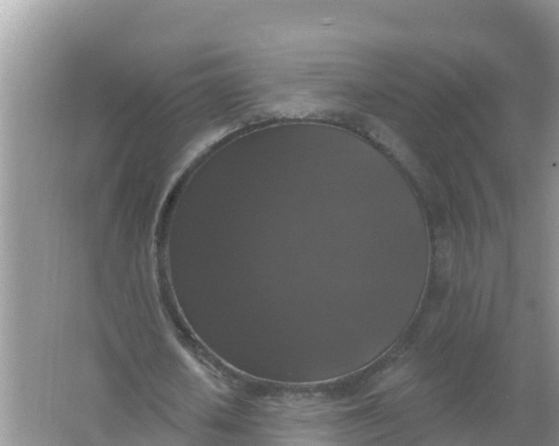 X0000066970626200604072031