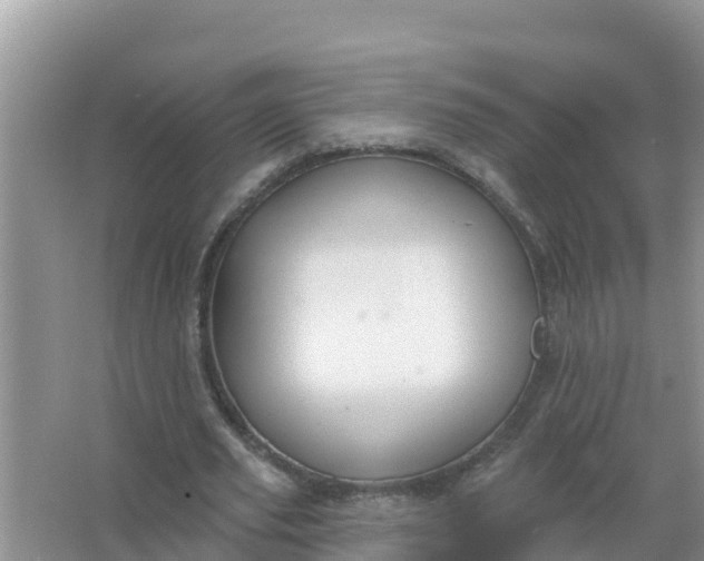 X0000066970629200604072031