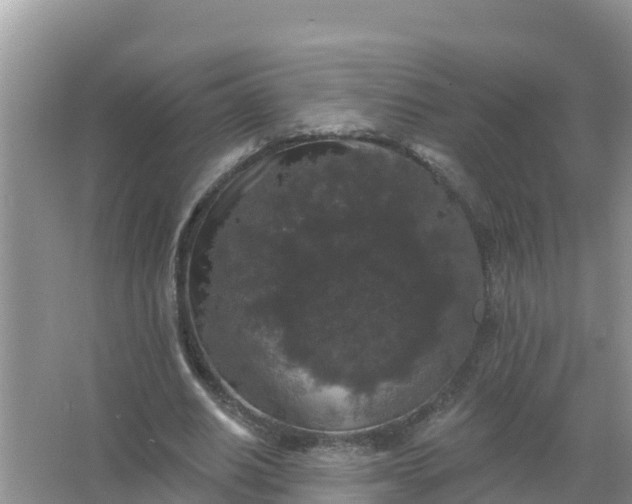 X0000066970630200604072031