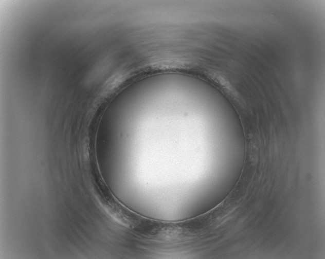 X0000066970631200604072031