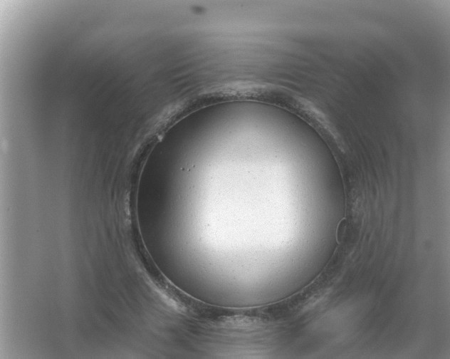 X0000066970633200604072031