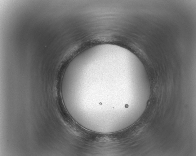 X0000066970635200604072031